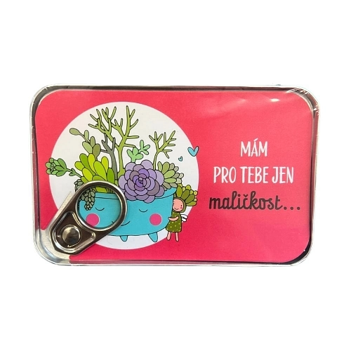 Plechovka na peníze - novomanželé - dárek