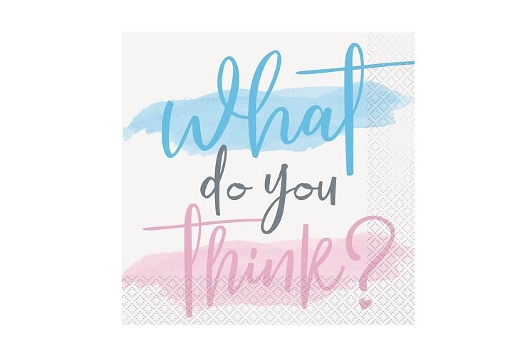 Ubrousky Gender reveal - Boy or Girl -  Kluk nebo holka - 32 x 32 cm - 16 ks