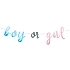 Girlanda Gender reveal - Boy or Girl -  Kluk nebo Holka - 213 cm
